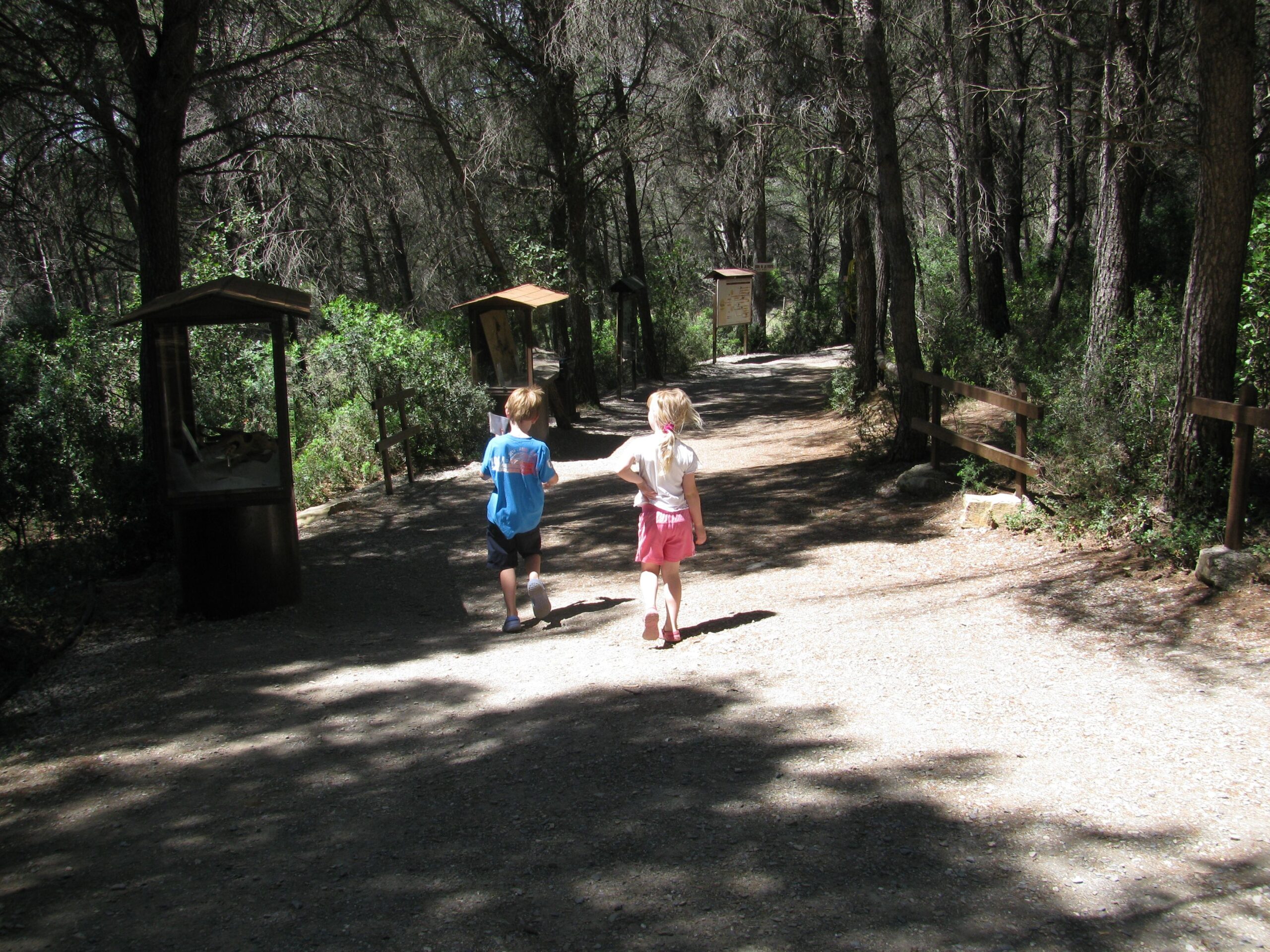 Kids in forest